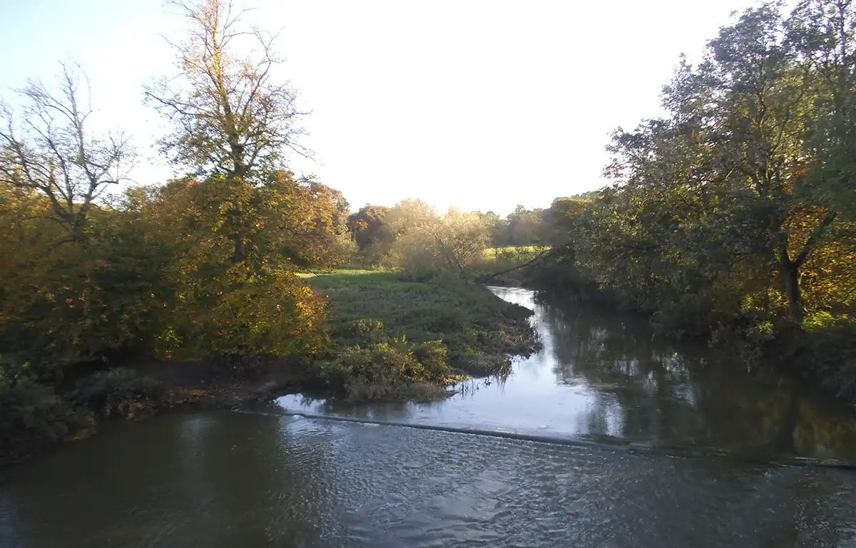 Photo of the River Mole in Cobham