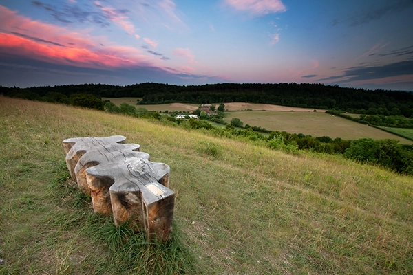 Beautiful photo of the Surrey landscape